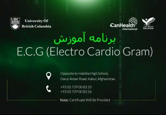 آموزش تفسیر گراف قلب