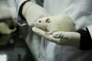 Workshop on “Working with Laboratory Animals (Rats)”